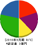 塚本建設 貸借対照表 2010年9月期