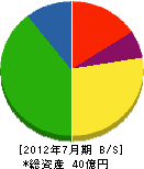 和田内潜建 貸借対照表 2012年7月期