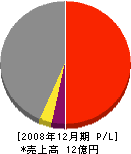 藤田観光工営 損益計算書 2008年12月期
