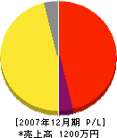 須藤重機 損益計算書 2007年12月期