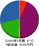 上田住設 貸借対照表 2009年5月期