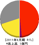 橋本設備工事 損益計算書 2011年6月期