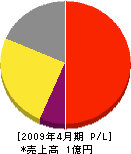 片岡鉄工 損益計算書 2009年4月期