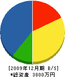 伊藤水道工業 貸借対照表 2009年12月期