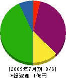 桃井建設 貸借対照表 2009年7月期