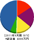 埼玉緑地 貸借対照表 2011年9月期