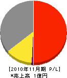 日新 損益計算書 2010年11月期