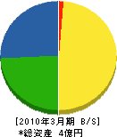 岩崎石材工業 貸借対照表 2010年3月期