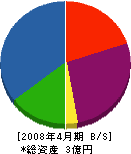 岩本工業 貸借対照表 2008年4月期