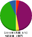 山本電気工業 貸借対照表 2010年3月期