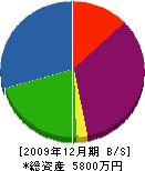 ヤマトリフォーム 貸借対照表 2009年12月期