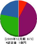 一晃園 貸借対照表 2009年12月期