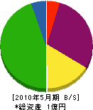 長谷川工業所 貸借対照表 2010年5月期