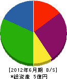 ノザワ 貸借対照表 2012年6月期