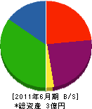 菅本石材店 貸借対照表 2011年6月期