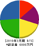角田配管工業所 貸借対照表 2010年3月期