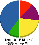 土井木材 貸借対照表 2009年3月期