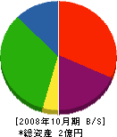 斉藤木材工業 貸借対照表 2008年10月期