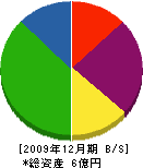 津田電業社 貸借対照表 2009年12月期