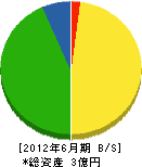 滋賀技建 貸借対照表 2012年6月期