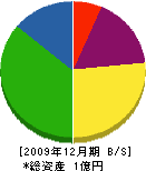 細川造園 貸借対照表 2009年12月期 細川造園 貸借対照表 2009年12月期