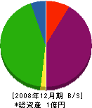 平石材店 貸借対照表 2008年12月期