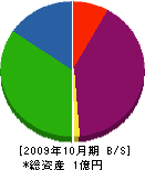 大岡組 貸借対照表 2009年10月期