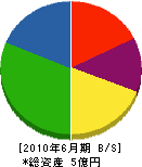 山友建設 貸借対照表 2010年6月期
