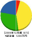 成田組 貸借対照表 2009年12月期