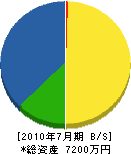 佐川電機商会 貸借対照表 2010年7月期