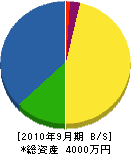 平岩電気工事 貸借対照表 2010年9月期