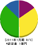 東日電子 貸借対照表 2011年1月期