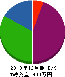 薮内電工 貸借対照表 2010年12月期