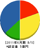 佐野組 貸借対照表 2011年6月期
