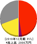 さくしん 損益計算書 2010年12月期