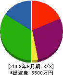 豊島塗装 貸借対照表 2009年6月期