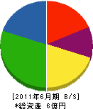 矢澤建設 貸借対照表 2011年6月期