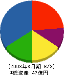 テクノ・ナミケン 貸借対照表 2008年3月期