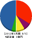 若嶋組 貸借対照表 2012年3月期