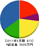 長岡電気 貸借対照表 2011年6月期