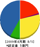 後藤総合工業 貸借対照表 2009年4月期