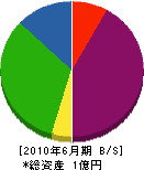 車川組 貸借対照表 2010年6月期