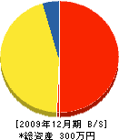 増井造園 貸借対照表 2009年12月期