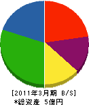 大川運送 貸借対照表 2011年3月期