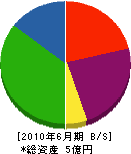 吉川工業 貸借対照表 2010年6月期