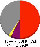 北栄道路 損益計算書 2009年12月期