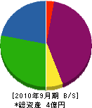 寺島製材所 貸借対照表 2010年9月期