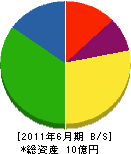 須藤開発興業 貸借対照表 2011年6月期