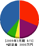 大島石材店 貸借対照表 2009年3月期 大島石材店 貸借対照表 2009年3月期