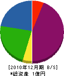 山幸本店 貸借対照表 2010年12月期